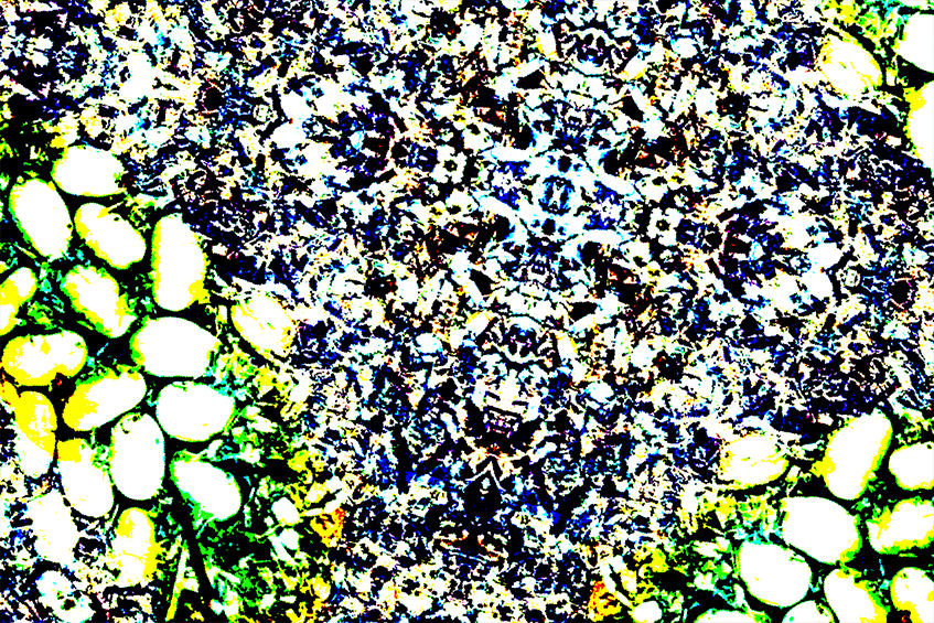 Decomposing-01